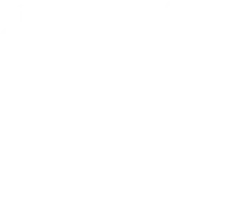 Fundacion Sheila Rivera Icono